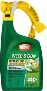 best dandelion killers_Ortho Weed B Gon Ready to spray